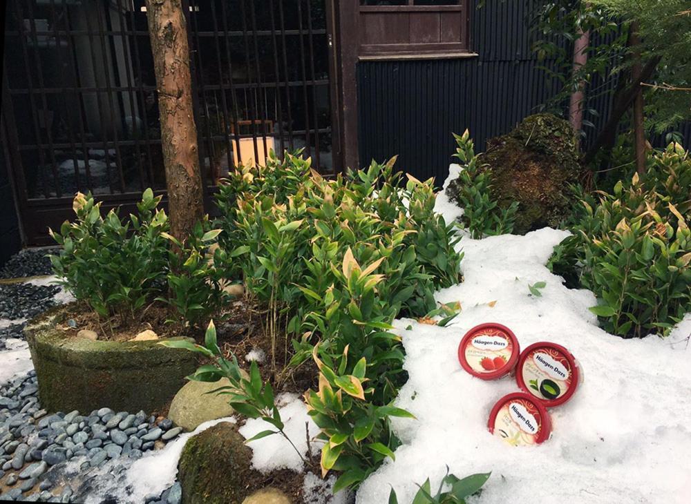 Ichii No Niwa 一棟貸切の古民家宿 櫟の庭 Takayama  Luaran gambar